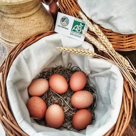 Les Palmiers Отель Фрежюс