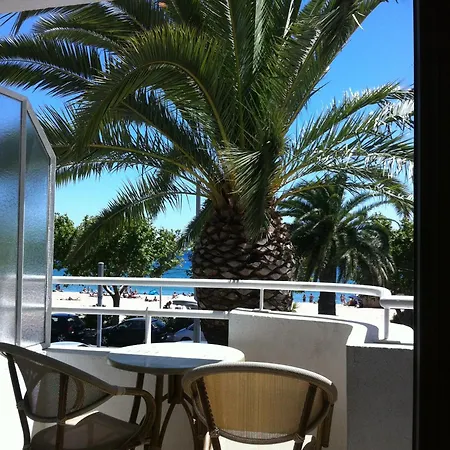 Les Palmiers